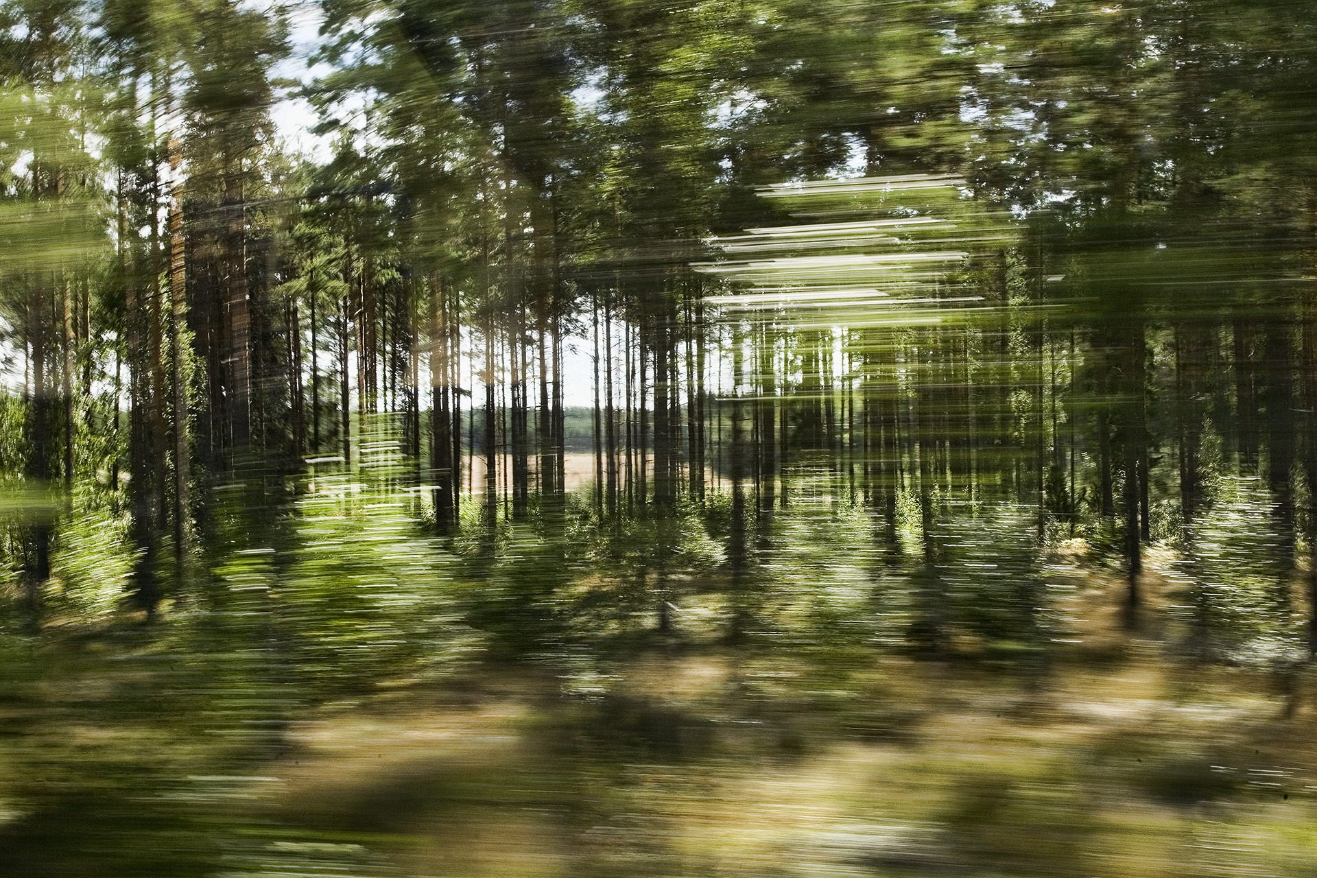 Paysage forestier vu depuis un train en mouvement en Finlande, effet de flou lié au déplacement, 2011, photographie de David Samblanet