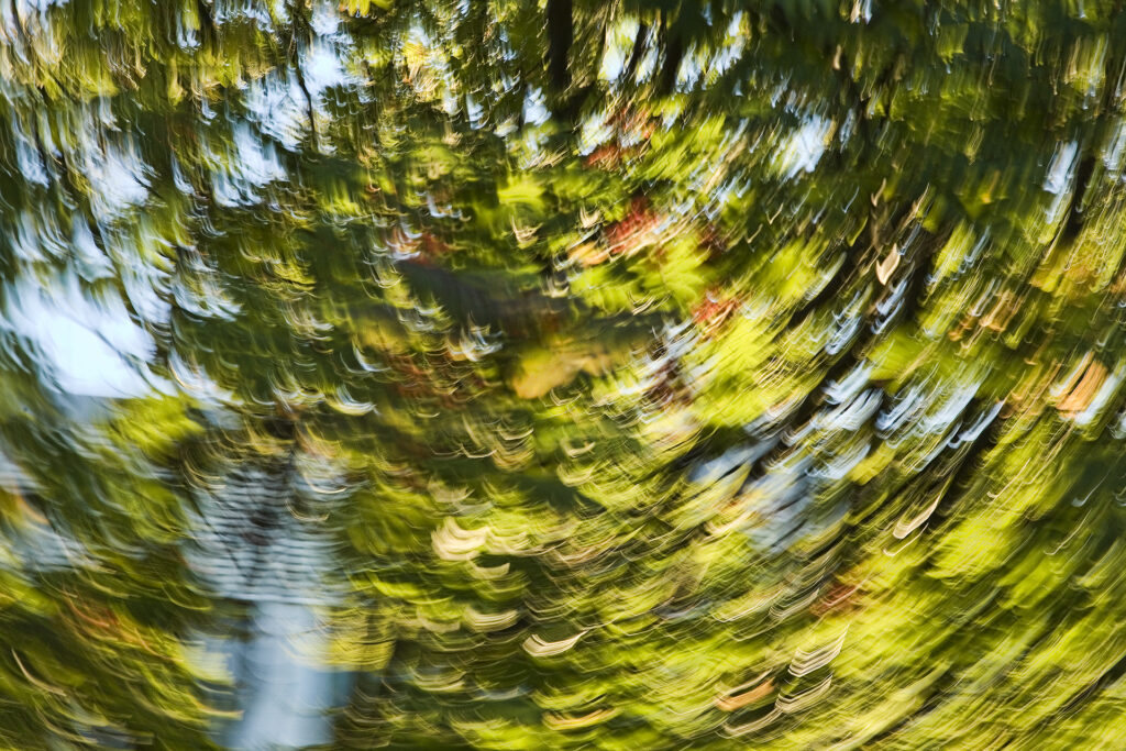 Végétation et feuillage en Finlande photographiés avec un mouvement de rotation de l’appareil, créant un effet de flou circulaire, 2011, photographie de David Samblanet